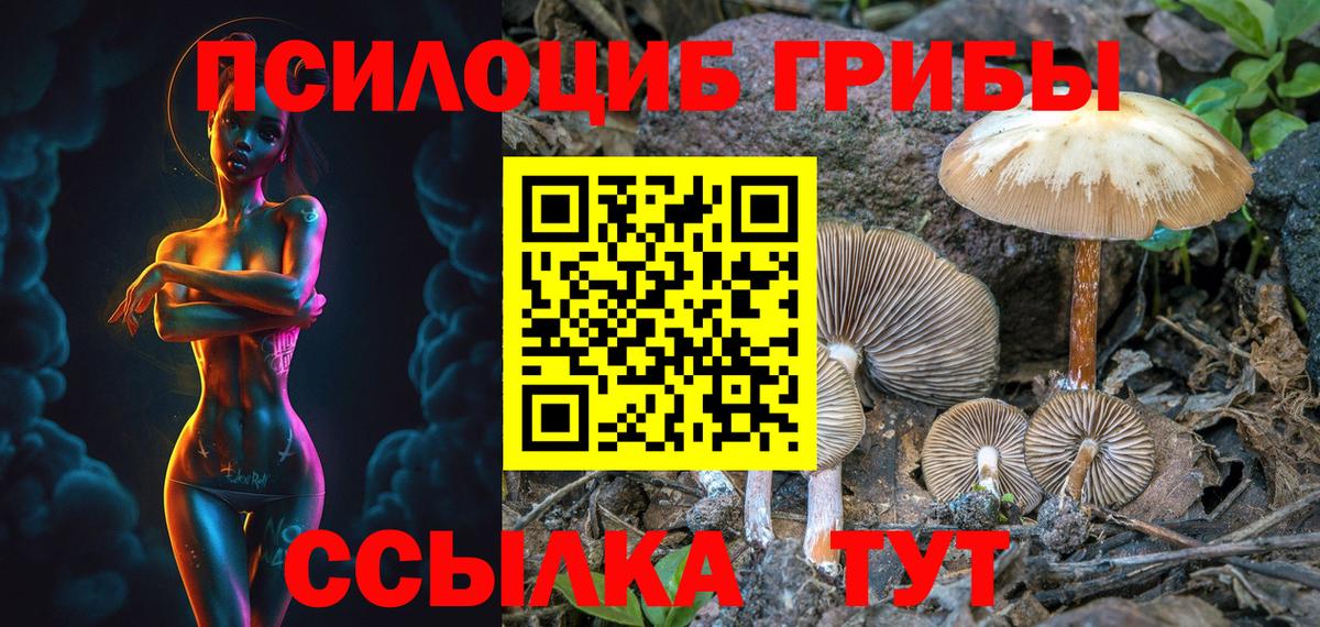 Новокубанск  Псилоцибиновые грибы GOLDEN TEACHER  Вход с VPN  купить наркоту  Псилоцибиновые грибы Magic Shrooms 