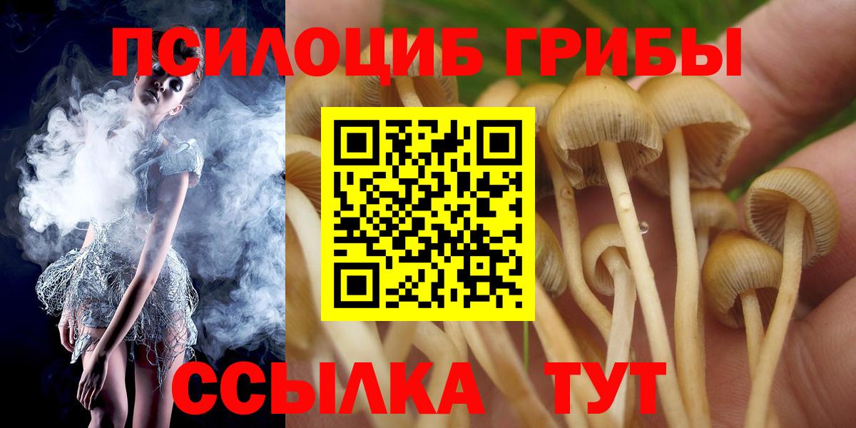 Псилоцибиновые грибы ЛСД Новокубанск